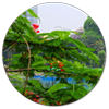 phụ huynh nhận xét lớp vẽ